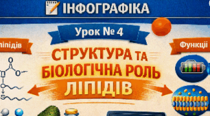 Інфографіка 📝Урок № 4 Структура та біологічна роль ліпідів. 9 кл НУШ Тагліна