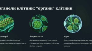 Рівні організації живої матерії