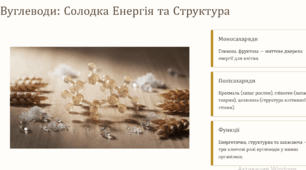 Органічні Речовини: Будівельні Блоки Життя