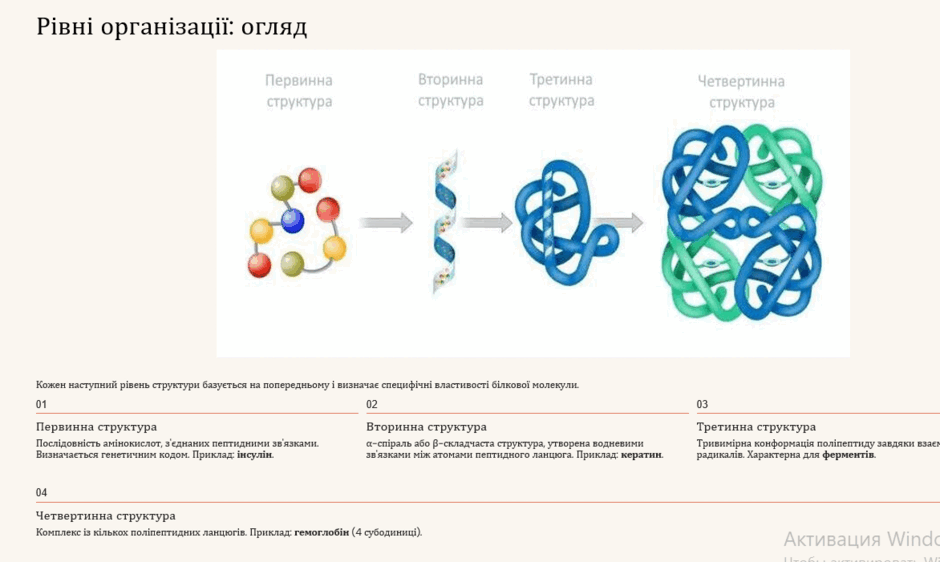 11003bsm-501c-940x562.png