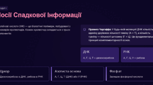 Нуклеїнові Кислоти