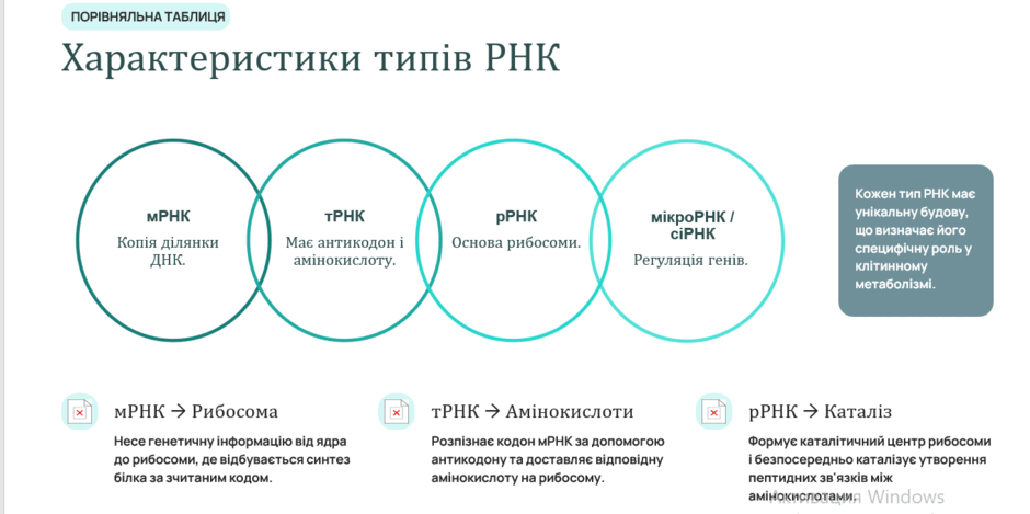 11003bu1-bdf7-940x469.png