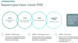 Основні типи РНК. Їхні функції. АТФ