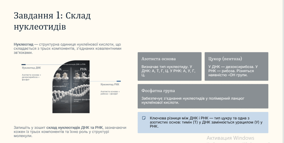 11003by8-0ebb-940x475.png
