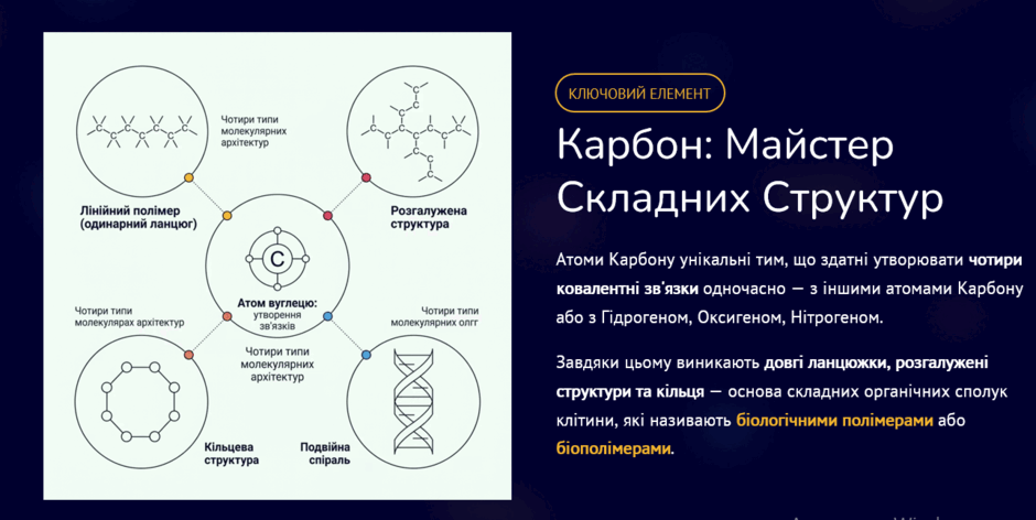 11003bzw-e056-940x472.png
