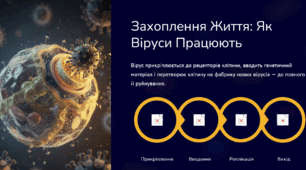Роль вірусів та в житті людини.Віруси, Віроїди та Пріони