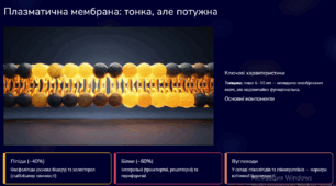 Структура евкаріотичної клітини: Плазматична мембрана та транспорт речовин