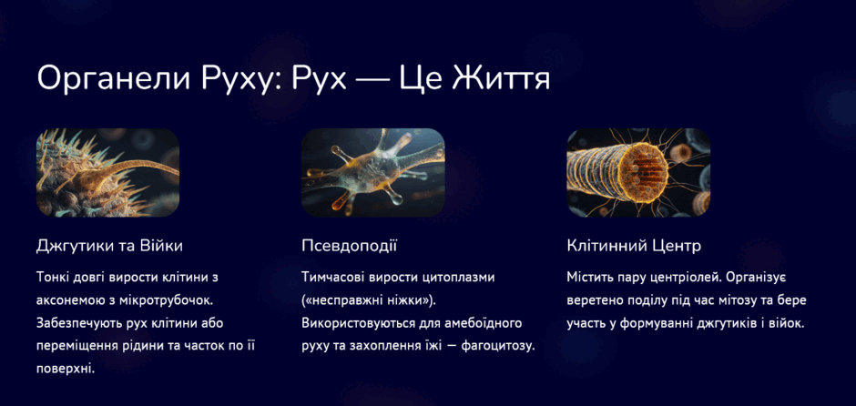 11003c62-e660-940x446.png
