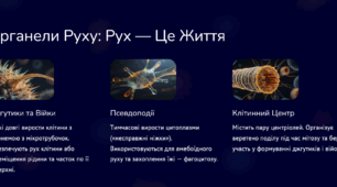 Еукаріотична клітина: Цитоплазма та її Органели