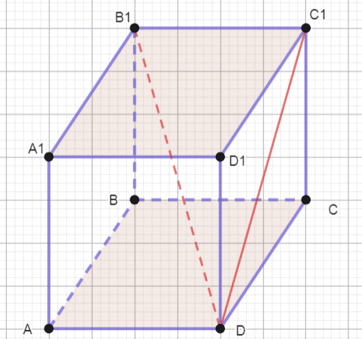 11003cwc-c957-362x339.png