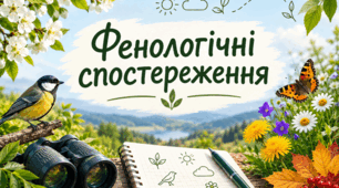 Фенологічні спостереження