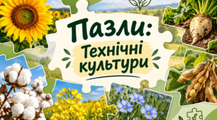 Пазли: "Технічні культури"