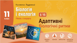 Презентація, інфографіка, робочий аркуш