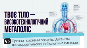 05. Органи і системи органів. Організм  як саморегульована біологічна система