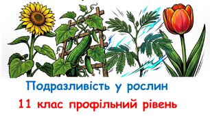 Презентація до уроку для учнів 11 класу з біології та екології (профільний рівень) за темою- "Подразливість у рослин"