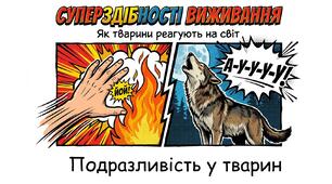 Презентація до уроку для учнів 11 класу з біології та екології (профільний рівень) за темою- "Подразливість у тварин"