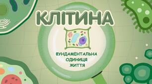 Клітина - фундаментальна одиниця життя