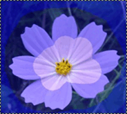 11003om3-467d-184x165.png