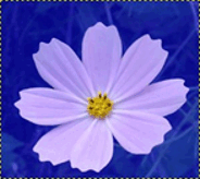 11003omm-f7be-184x164.png
