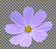 11003omy-4859-185x164.png