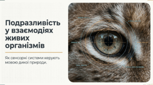 Презентація "Подразливість у взаємодіях живих організмів" 11 клас (проф)