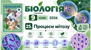 Процеси мітозу. Презентація, інфографіка, робочий аркуш