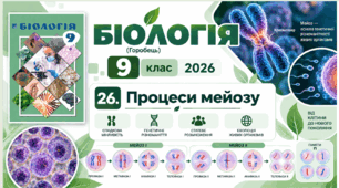 Процеси мейозу. Презентація, інфографіка, робочий аркуш