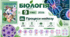 Процеси мейозу. Презентація, інфографіка, робочий аркуш