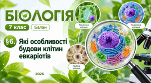 Які особливості будови клітин евкаріотів. 7 клас НУШ.