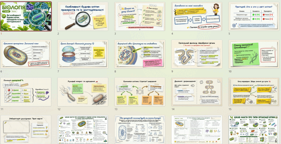 11003ses-fed1-940x481.png
