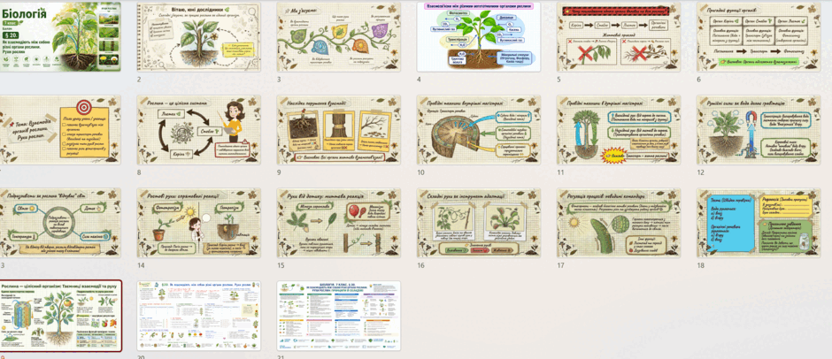 11003twg-cac6-940x406.png