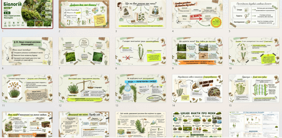 11003uev-6989-940x461.png