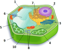 11003uzt-ca33-216x178.png