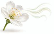 11003vo6-9933-190x120.png