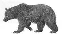 11003vrf-f3c7-221x127.jpg