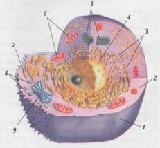 image001.jpg