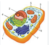11003wfs-025c-160x146.png