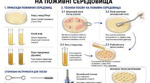 Поживні середовища. Техніка посіву на поживні середовища.