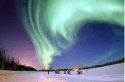 11004148-25f1-248x164.png
