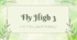 Fly High 3 Unit 2 Are you on holiday Презентація+worksheets