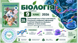 Генетичний код та його властивості. Реалізація спадкової  інформації в клітині: біосинтез білкових молекул та його етапи. Презентація, інфографіка, робочий аркуш