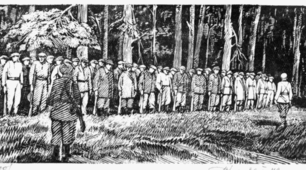 "Національно-визвольний рух у 1944–1950-х рр. на території України". Презентація