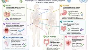 Мікроорганізми і навколишнє середовище.