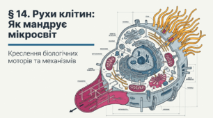 Презентація "Рухи клітин" 11 клас (проф)