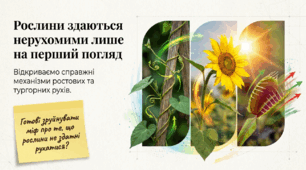 Презентація "Рухи рослин" 11 клас (проф)