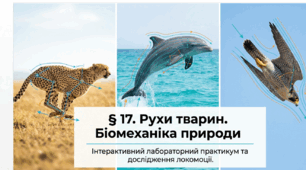 Презентація "Рухи тварин" 11 клас (проф)