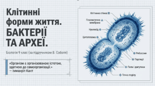 Презентація "Клітинні форми життя. Бактерії та Археї", 9 клас_Біологія_НУШ_урок_4