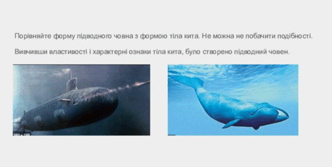 11004fl2-7ecb-480x242.png