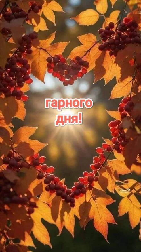 Изображение пина-истории