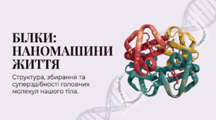 Презентація "Структура та біологічна роль білків" 9 клас НУШ